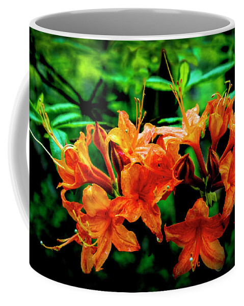 Carolina Coffee Mug featuring the photograph Wild Azaleas by Debra and Dave Vanderlaan