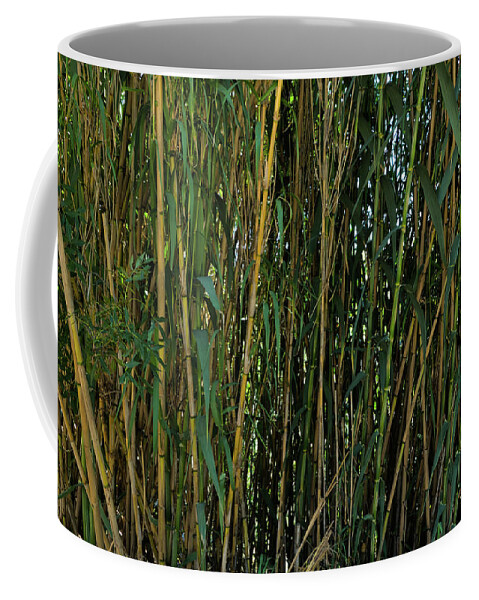 Bamboos Coffee Mug featuring the photograph Wild Bamboo Wall by Angelo DeVal