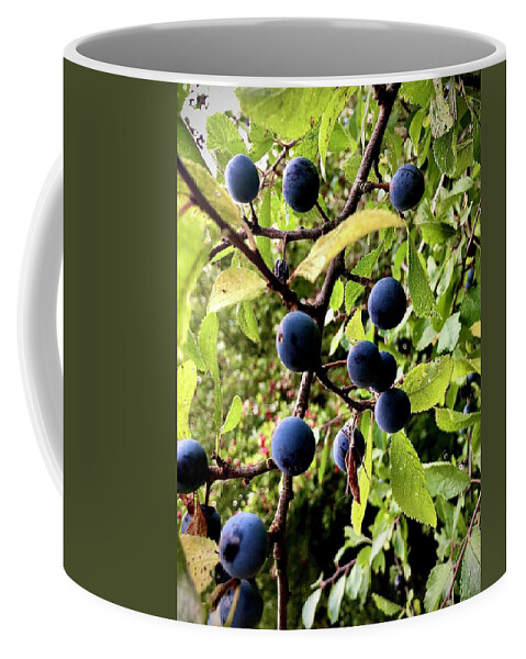  Coffee Mug featuring the photograph Wild Blue Berries by Gordon James
