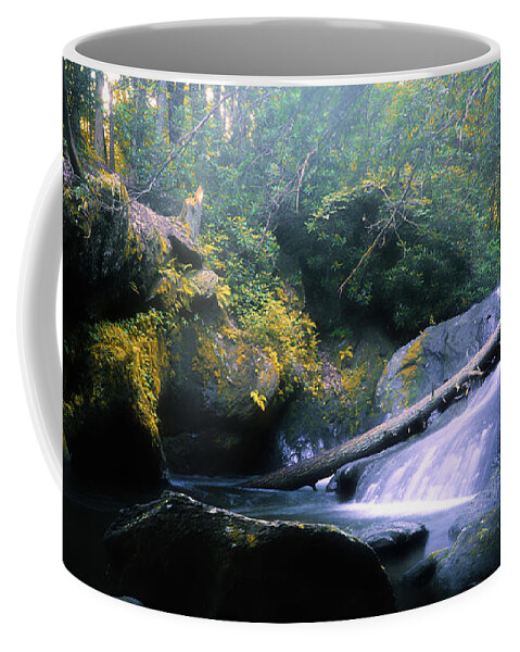 Wild Creek Coffee Mug featuring the photograph Wild Creek Falls Morning Light by Jason Fink