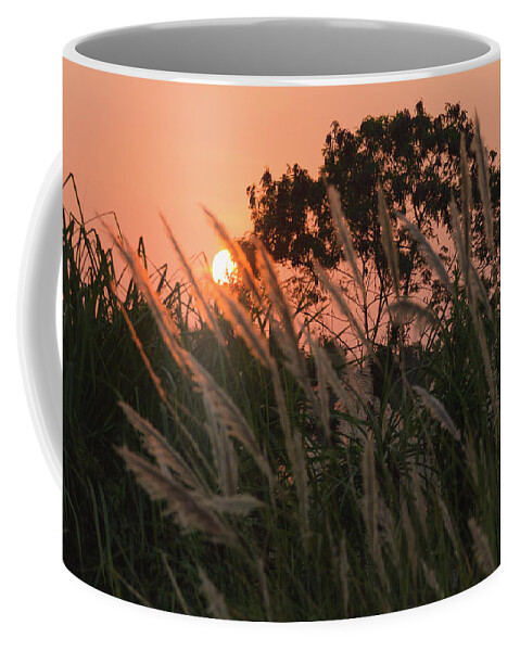 Pampas Grass Coffee Mug featuring the photograph Wild Essence by Josu Ozkaritz