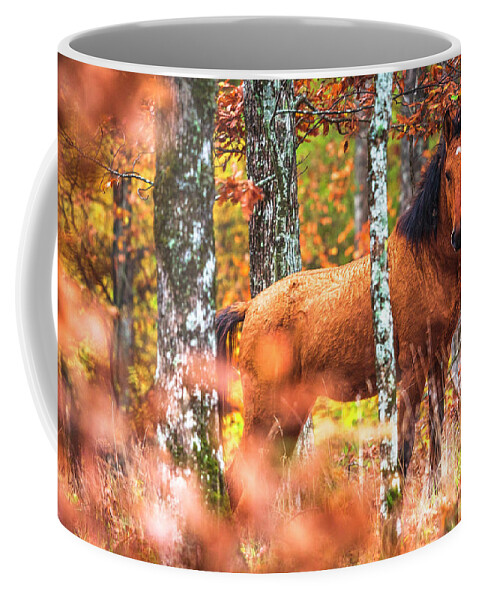 Animals Coffee Mug featuring the photograph Wild by Evgeni Dinev