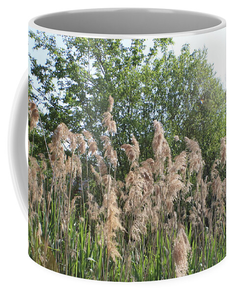 Wild Coffee Mug featuring the photograph Wild Grass by Kenneth Pope