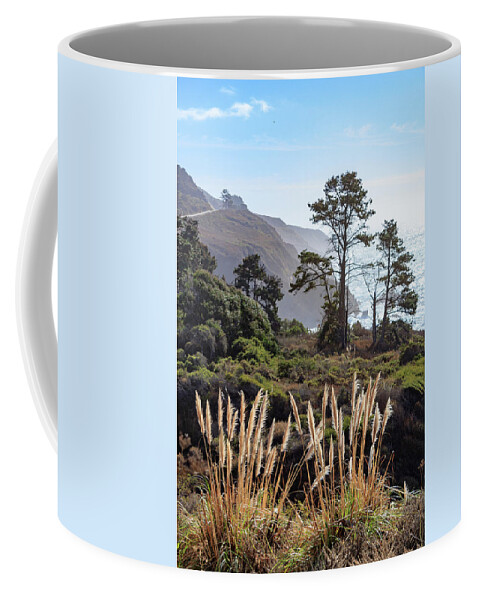 Coastline Coffee Mug featuring the photograph Wild Grasses Along Big Sur by Robert Carter