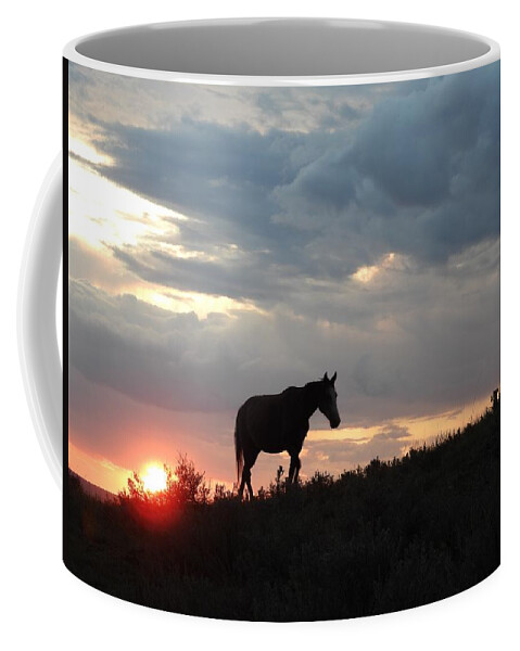 Wild Horse Coffee Mug featuring the photograph Wild Horse at Sun Down 2 by Amanda R Wright