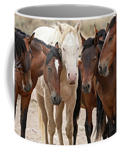 Wild Horses Coffee Mug featuring the photograph Wild Horse Huddle by Wesley Aston