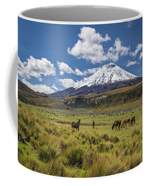 Andes Coffee Mug featuring the photograph Wild horses grazing at the foot of the Cotopaxi volcano by Henri Leduc