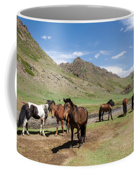Mountains Coffee Mug featuring the photograph Wild Horses by Martin Vorel Minimalist Photography