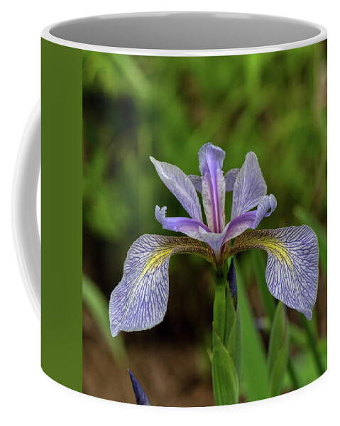 Flower Coffee Mug featuring the photograph Wild Iris by Paul Freidlund