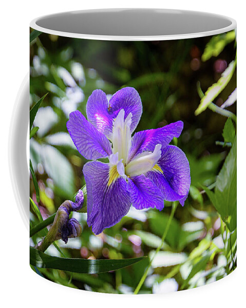 Flower Coffee Mug featuring the photograph Wild Iris by Randy Bayne