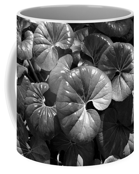 Fine Art Photography Coffee Mug featuring the photograph Wild plants Florida by David Lee Thompson