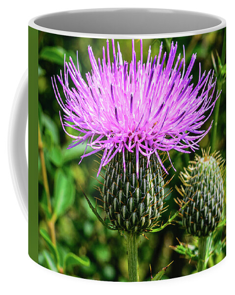 Plant Coffee Mug featuring the photograph Wild Purple Thistle by Kenneth Everett
