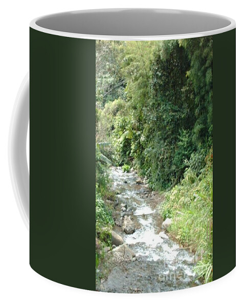 Trees Coffee Mug featuring the photograph Wild stream by Nancy Graham