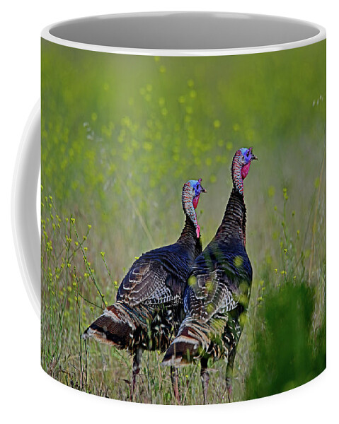  Meleagris Gallopavo Coffee Mug featuring the photograph Wild Turkey Hens - Meleagris gallopavo by Amazing Action Photo Video