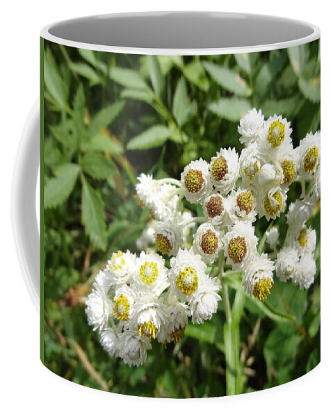 Wildflower Coffee Mug featuring the photograph Wildflower 2 by Lisa Mutch
