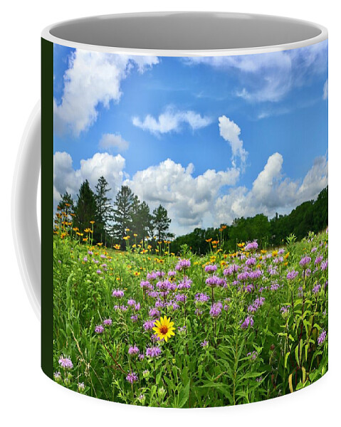 Wildflower Coffee Mug featuring the photograph Wildflower Glory by Sarah Lilja