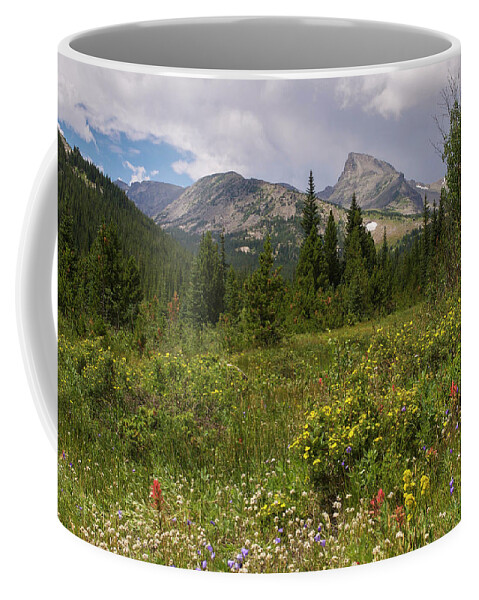 Sawtooth Coffee Mug featuring the photograph Wildflowers and the Sawtooth by Aaron Spong