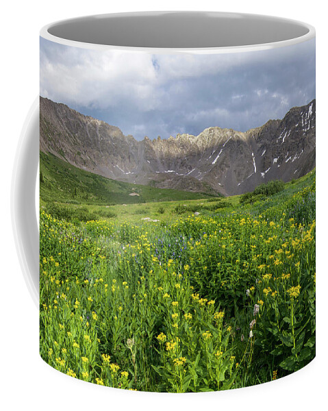 Breckenridge Coffee Mug featuring the photograph Wildflowers in Mayflower Gulch by Aaron Spong