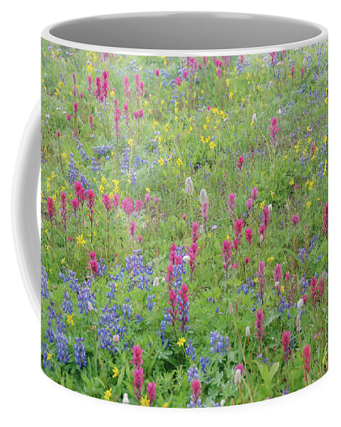 Bloom Coffee Mug featuring the photograph Wildflowers in Morning Fog #1 by Nancy Gleason