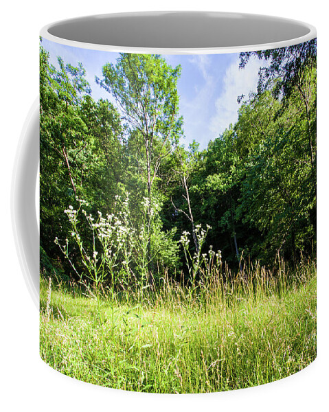 Wildflowers Coffee Mug featuring the photograph Wildflowers in Springtime - A Rock Creek Park Impression by Steve Ember
