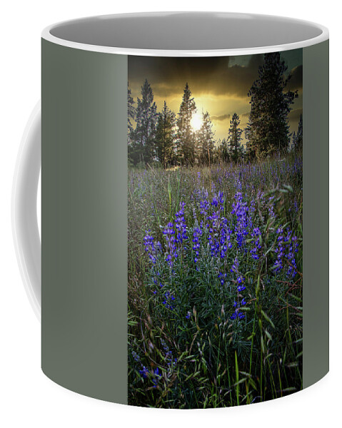 Beauty Coffee Mug featuring the photograph Wildflowers by Thomas Nay