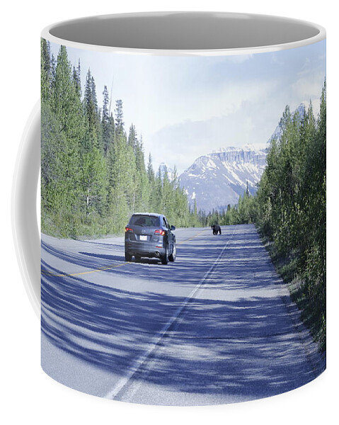 Wildlife Coffee Mug featuring the photograph Bear Has The Right Of Way by Mr JB Stickley