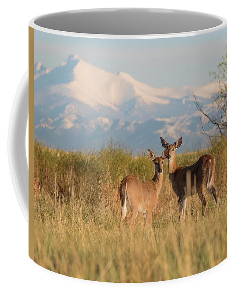 Landscape Coffee Mug featuring the photograph Wildlife and Rocky Mountains by Vicki Stansbury
