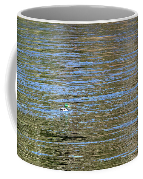 Animals Coffee Mug featuring the photograph Wildlife Photography - Duck by Amelia Pearn