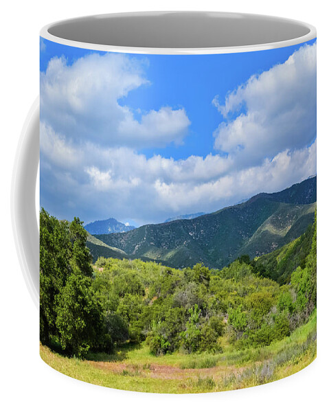Wildwood Canyon State Park Coffee Mug featuring the photograph Wildwood Canyon State Park by Kyle Hanson