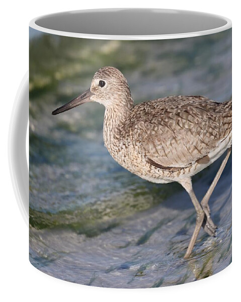 Willet Coffee Mug featuring the photograph Willet by Mingming Jiang
