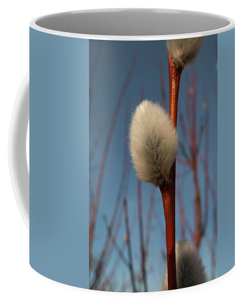Spring Coffee Mug featuring the photograph Willow Catkin by Karen Rispin