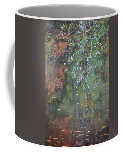Willow Tree Coffee Mug featuring the photograph Willow leaves and reflections on a river in Autumn by Anita Nicholson