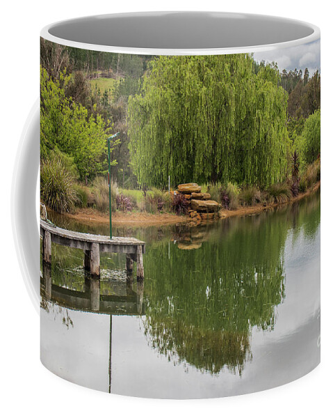 Willow Coffee Mug featuring the photograph Willow Tree Reflections by Elaine Teague