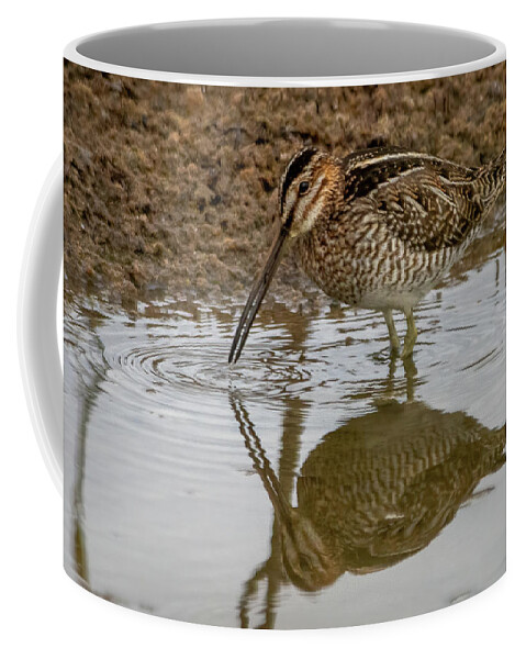 Snipe Coffee Mug featuring the photograph Wilson's Snipe Pond by Bradford Martin
