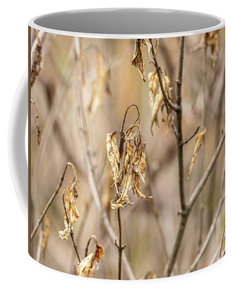Wilted Leaves Brown Shallow Depth Of Field Coffee Mug featuring the photograph Wilted leaves by David Morehead