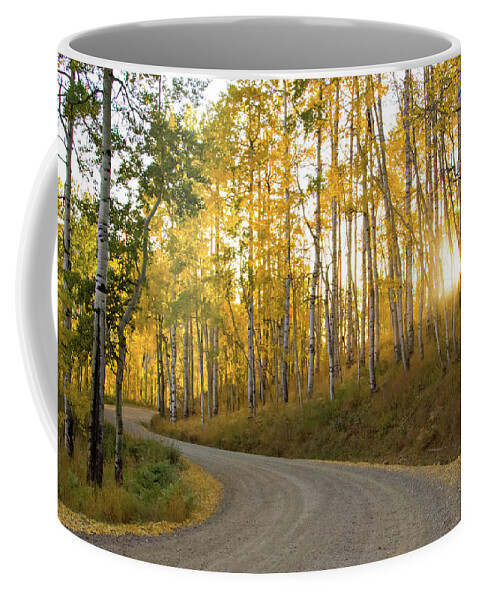 Colorado Coffee Mug featuring the photograph Winding Road by Wesley Aston