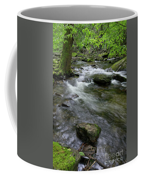 Nature Coffee Mug featuring the photograph Winding Waters by Phil Perkins