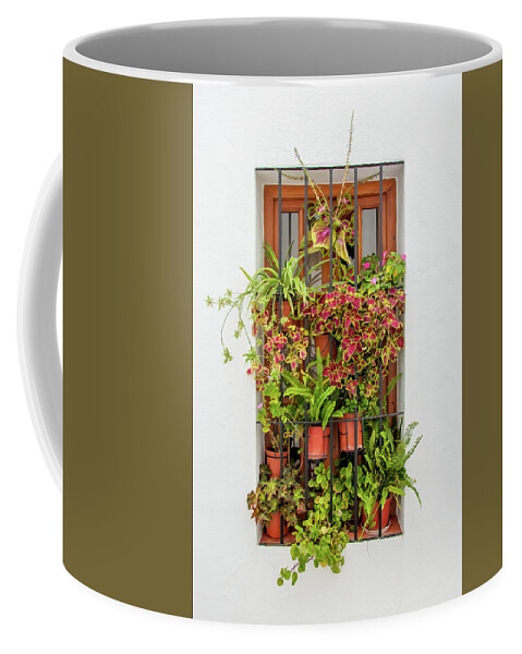 Spain Coffee Mug featuring the digital art Window plants painted photo by Naomi Maya