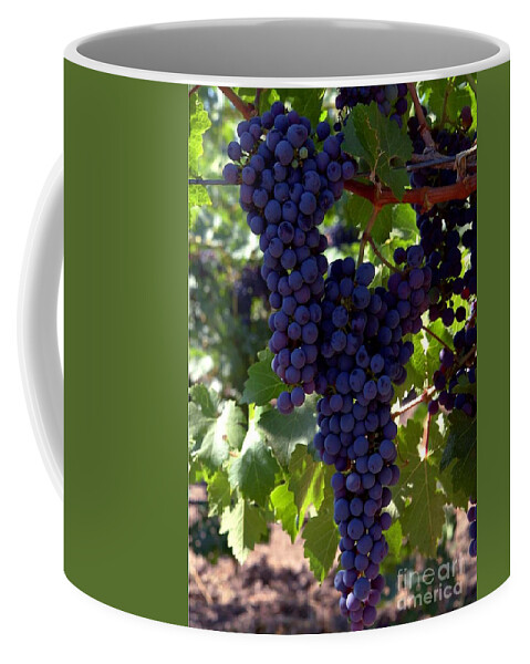 Grapes Coffee Mug featuring the photograph Wine Grapes by Charlene Mitchell