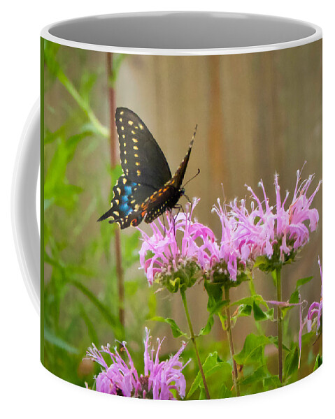  Coffee Mug featuring the photograph Winged Beauty by Jack Wilson