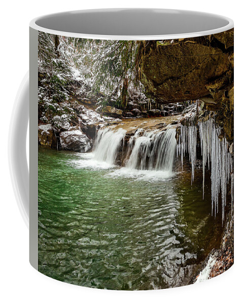 Waterfall Coffee Mug featuring the photograph Winter at Drawdy Falls by SC Shank