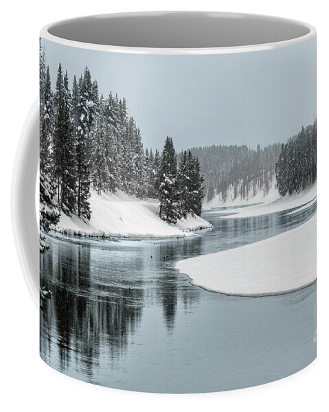 Landscape Coffee Mug featuring the photograph Winter Beauty by Sandra Bronstein