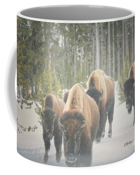 Buffalo Coffee Mug featuring the photograph Winter Buffalos by DB Hayes