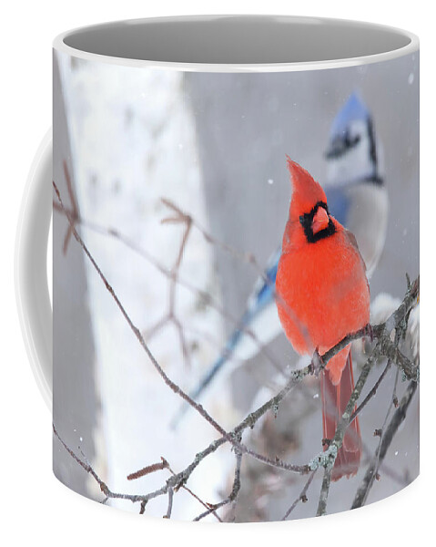 Winter Coffee Mug featuring the photograph Winter Cardinal and Bluejay by Brook Burling