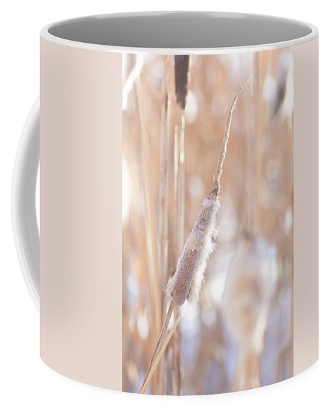 Winter Coffee Mug featuring the photograph Winter Cattails by Karen Rispin
