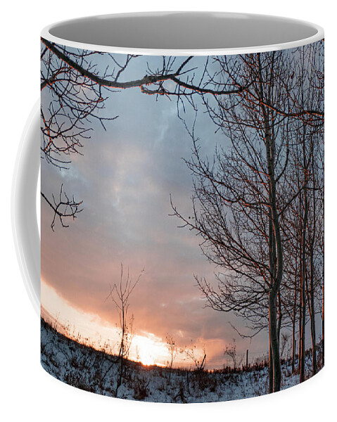 Winter Coffee Mug featuring the photograph Winter Dawn With Aspen Trees by Karen Rispin