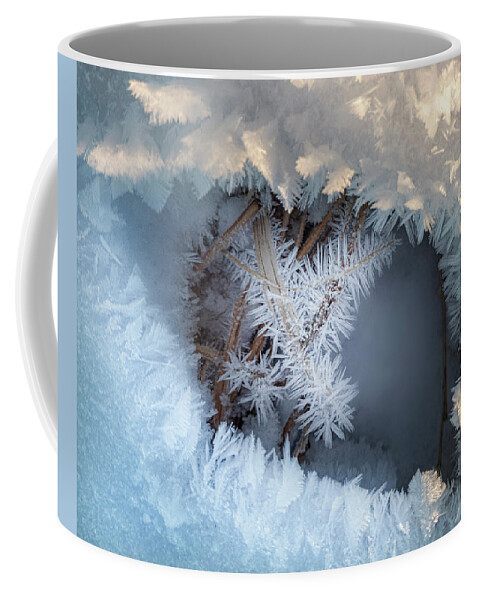 Winter Coffee Mug featuring the photograph Winter Eye Pattern by Karen Rispin