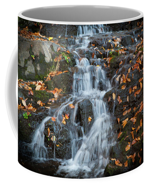 Falls Coffee Mug featuring the photograph Winter Falls_5132 by Rocco Leone