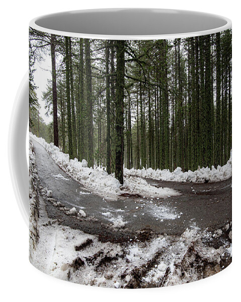 Wintertime Coffee Mug featuring the photograph Winter forest landscape with snow on the ground by Michalakis Ppalis