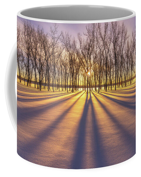 Sunrise Coffee Mug featuring the photograph Winter Gold by Darren White